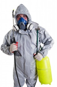 cost-of-exterminator